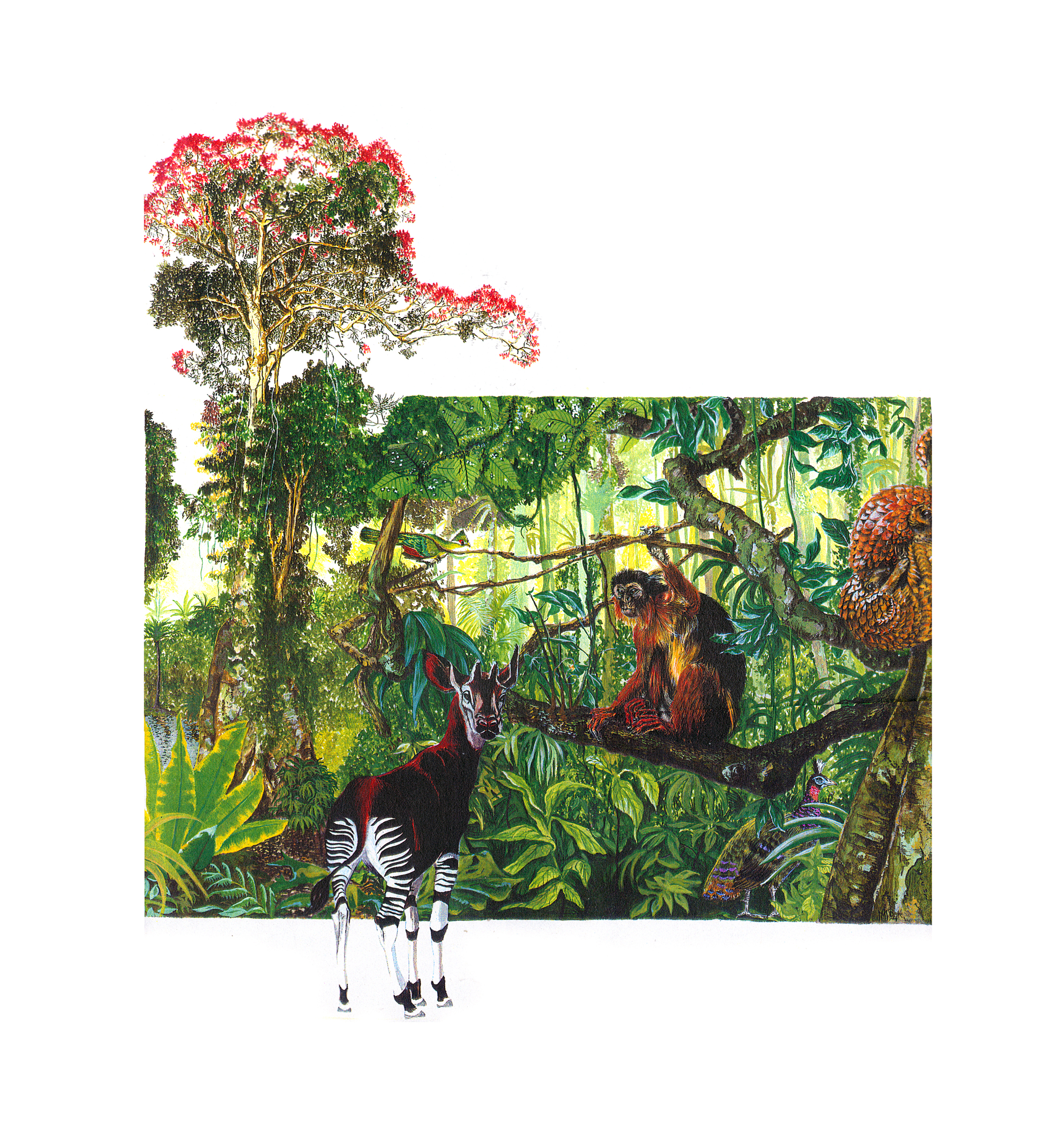 Foresta